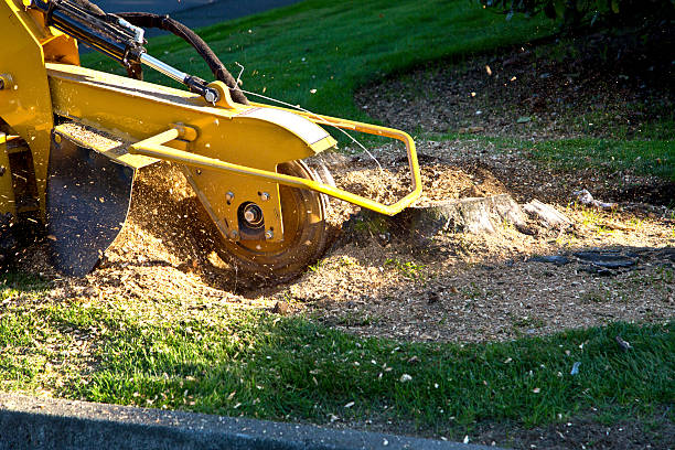 Lawn Grading and Leveling in Horton, KS